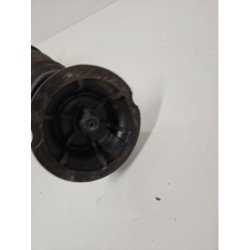Amortisseur Arriere Gauche Citroen C4 Grand Picasso 1 (3)