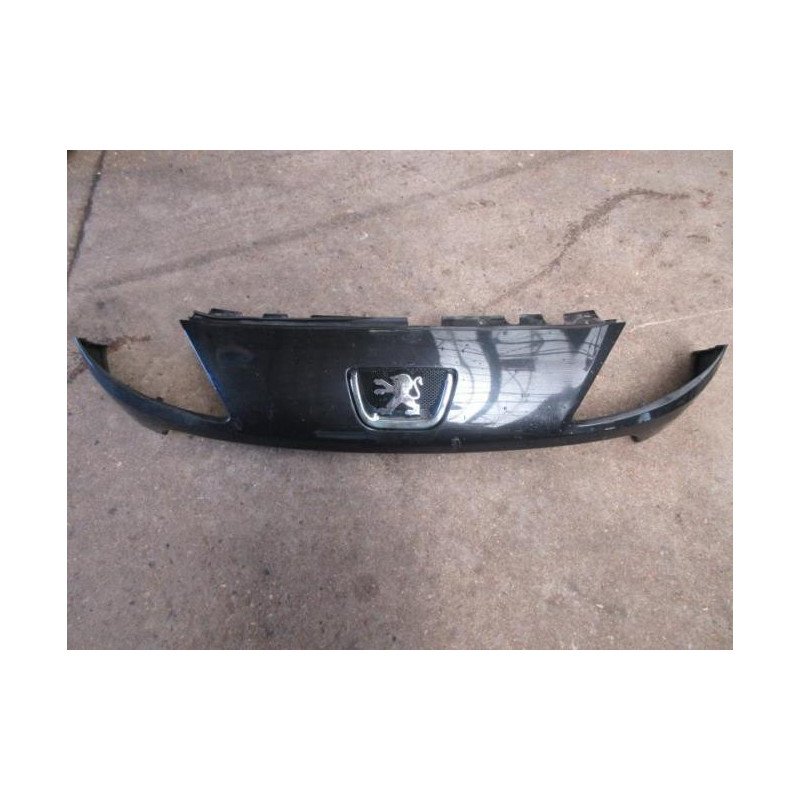 Calandre Peugeot 1007 (1)