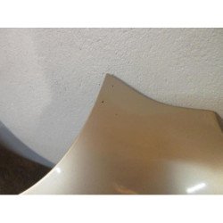 Capot Jaguar S-type Phase 2 (1)
