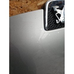 Capot Peugeot 407 Coupe (3)