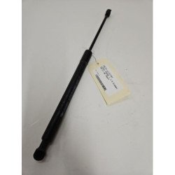 Verin De Capot Dacia Lodgy Phase 1 (1)