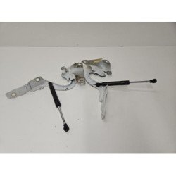 Charniere De Capot Renault Zoe 1 (1)
