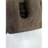 Etrier Arriere Droit (freinage) Renault Clio 3 Phase 1 (2)