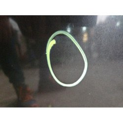 Malle/hayon Arriere Bmw Serie 7 E32 (4)