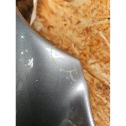 Capot Jaguar X-type Phase 1 (3)