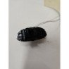 Bouton De Warning Citroen Xsara Picasso Phase 2 (2)