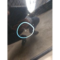 Porte Avant Droit Peugeot 306 Phase 2 (4)