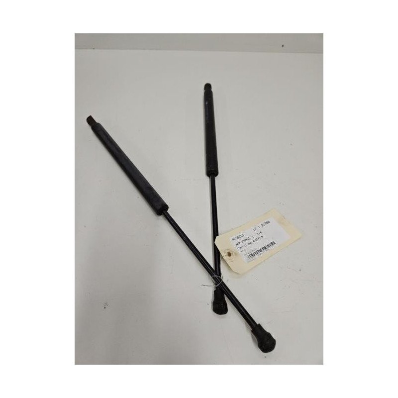 Verin De Coffre Peugeot 307 Phase 1 (1)