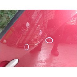 Porte Arriere Droit Renault Modus Phase 2 (2)