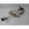 Vase De Lave Glace Citroen Nemo (1)