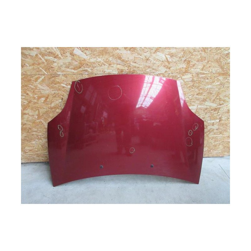 Capot Fiat Bravo 2 (1)