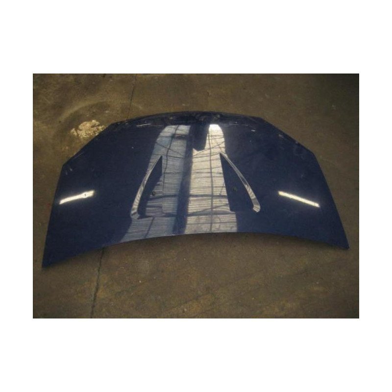 Capot Dacia Sandero 1 (1)