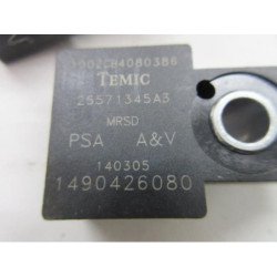 Divers Peugeot 1007 (2)