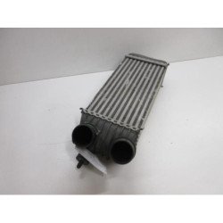 Echangeur Air (intercooler) Peugeot Expert 2 (2)
