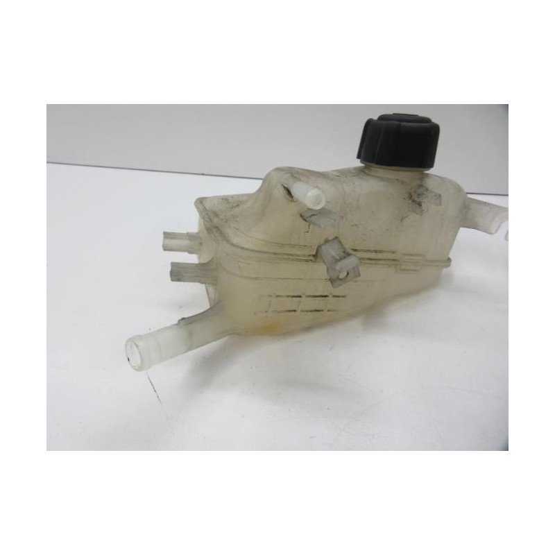 Vase D'expansion Renault Scenic 3 Phase 1 (1)