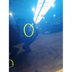 Porte Avant Droit Mini Mini 1 R50/r53 Phase 1 (6)