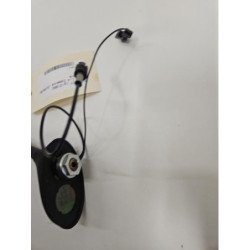 Antenne Peugeot 1007 (2)