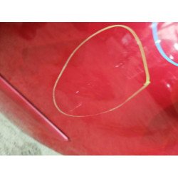 Porte Arriere Gauche Renault Grand Modus Phase 2 (7)