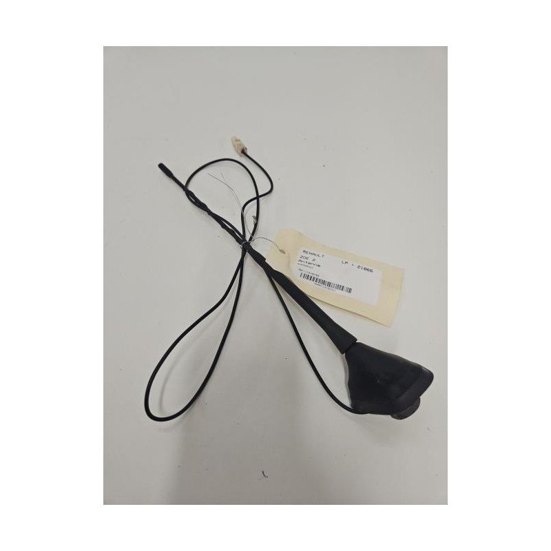 Antenne Renault Zoe 1 (1)