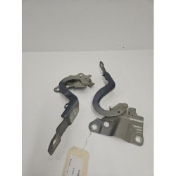 Charniere De Capot Renault Zoe 1 (1)