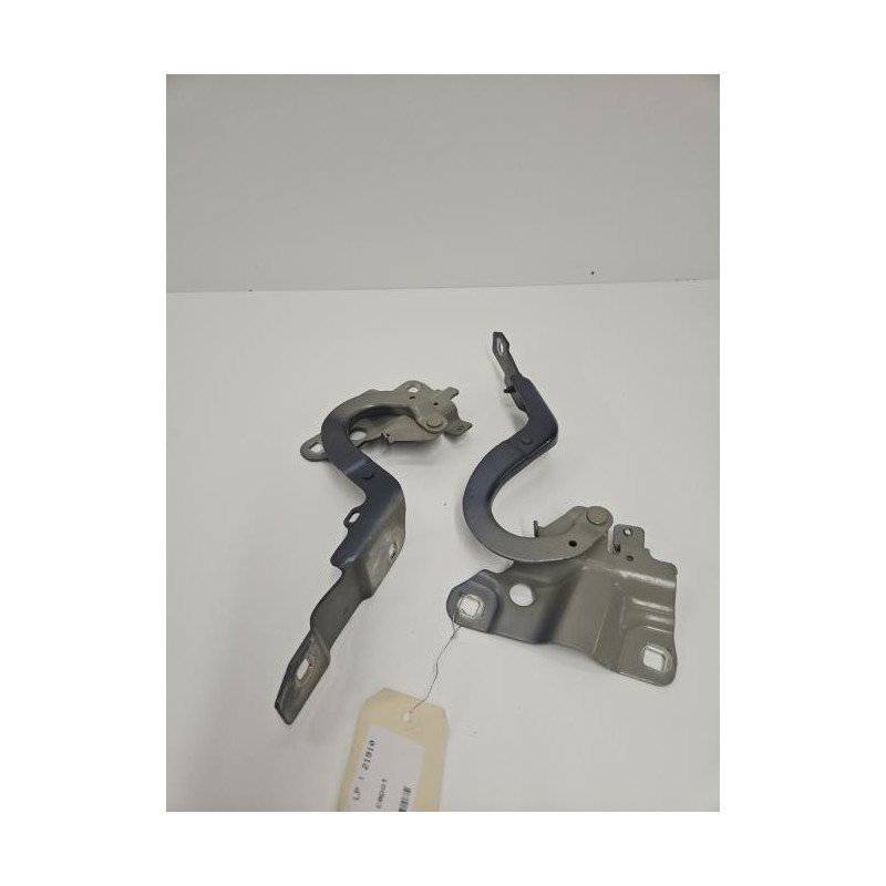 Charniere De Capot Renault Zoe 1 (1)