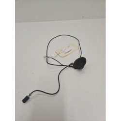 Antenne Renault Clio 3 Phase 1 (1)