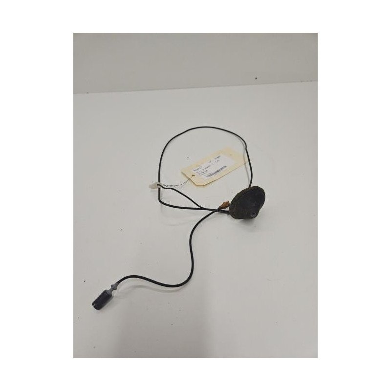 Antenne Renault Clio 3 Phase 1 (1)