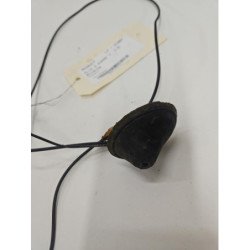 Antenne Renault Clio 3 Phase 1 (3)