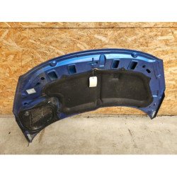 Capot Peugeot 206+ (6)