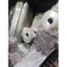 Moteur Citroen C2 Phase 1 (5)