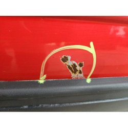 Porte Avant Gauche Renault Express Phase 1 (3)