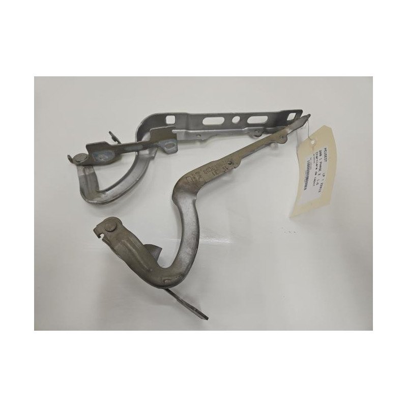 Charniere De Capot Peugeot 208 1 Phase 2 (1)
