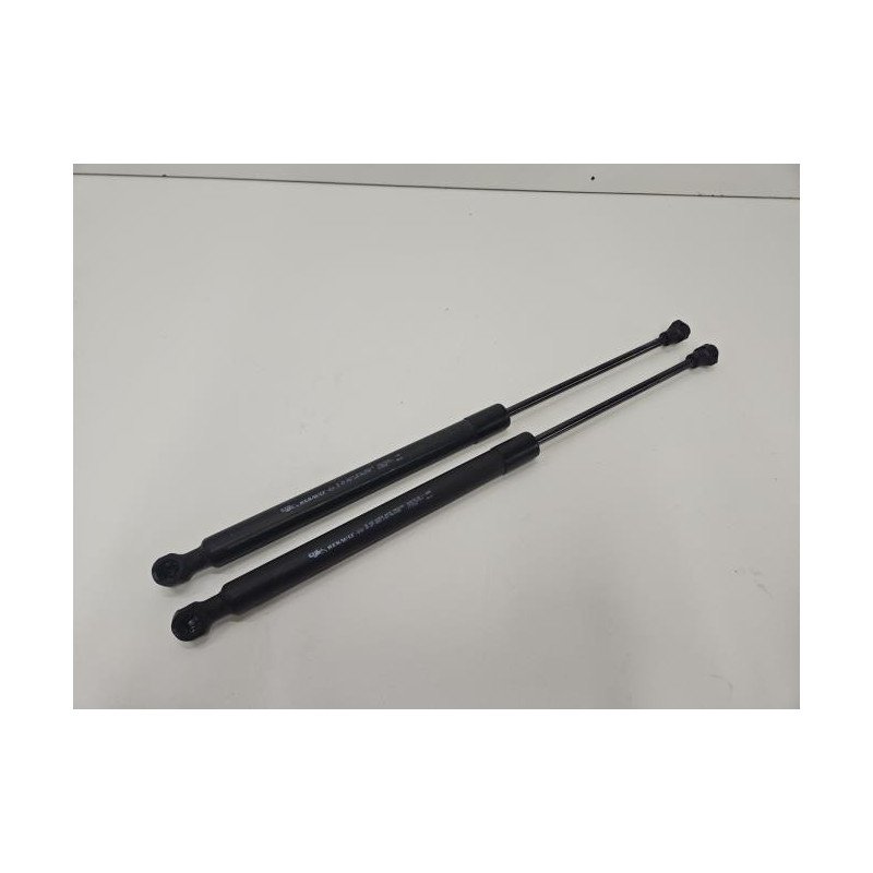 Verin De Coffre Dacia Sandero 3 (1)