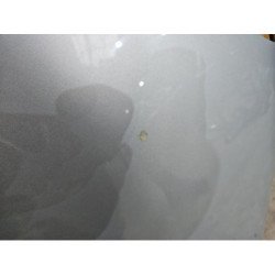 Capot Fiat Panda 3 Phase 1 (4)