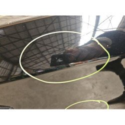 Porte Avant Droit Citroen C4 2 Phase 1 (3)