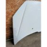 Capot Peugeot 206 Phase 1 (1)