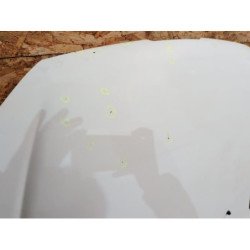 Capot Peugeot 206 Phase 1 (5)
