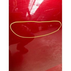 Porte Arriere Gauche Dacia Sandero 3 (2)