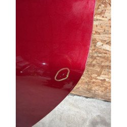 Porte Arriere Gauche Dacia Sandero 3 (4)