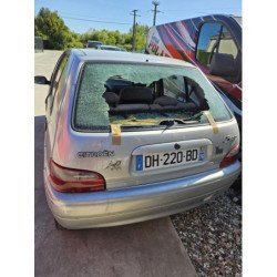 Calandre Citroen Saxo Phase 1 (6)