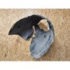 Pare Boue Avant Gauche Renault Clio 4 Phase 2 (2)