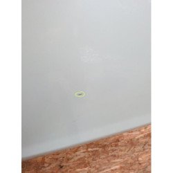 Porte Avant Gauche Nissan Micra 4 Phase 2 (2)