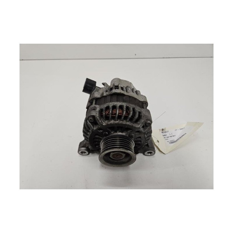 Alternateur Peugeot 206+ (1)