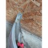 Pare Choc Arriere Peugeot 206+ (4)