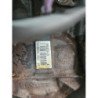Moteur Renault Twingo 2 Phase 1 (5)