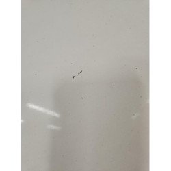 Porte De Coffre Droit Peugeot Boxer 3 Phase 2 (4)