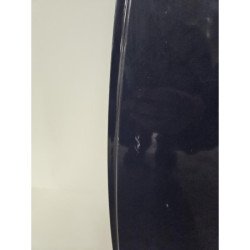 Porte Arriere Gauche Dacia Sandero 2 Phase 2 (2)