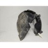 Pare Boue Avant Gauche Renault Clio 4 Phase 2 (2)