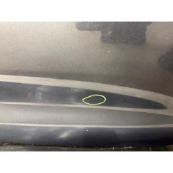 Porte Arriere Gauche Renault Zoe 2 (6)