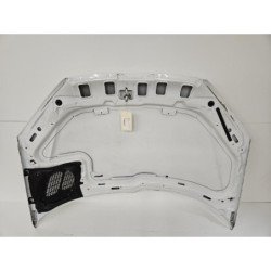 Capot Peugeot 206 Phase 2 (6)